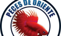 Peces de oriente