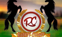 Company