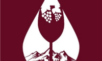 Mendoza Wine Destination