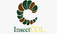 Insectcol