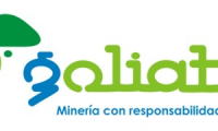 Goliat S.A.S.