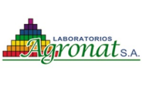 Company