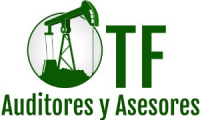 TF AUDITORES Y ASESORES LTDA