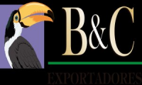 Company