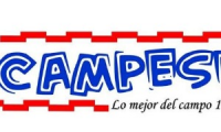 Company