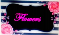 Flowerssv