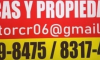 Company