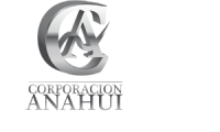 Company