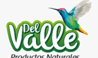 DELVALLE SA