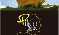 PITAGOLD