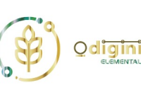 Odigini