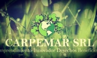 Company
