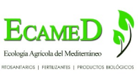 Company