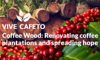 Vive Cafeto AC