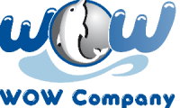 Company