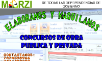 MARZI