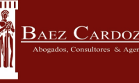 Osmar Baez Cardozo Consultoria en PI & Protección Juridica