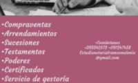 Company