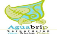 AguaBriP Corp