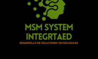 MSM SYSTEMS INTEGRATED S. A