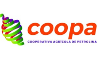 Company