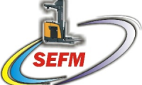 SEFM SAS