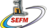 SEFM SOCIEDAD POR ACCIONES SIMPLIFICADA