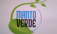 MANTO VERDE SAS