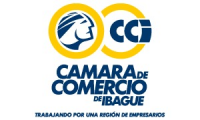 Company