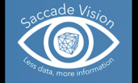Saccade Vision