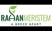 Rahan Meristem