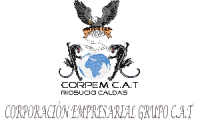 Company