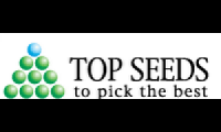 Top Seeds