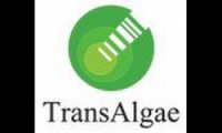 TransAlgae