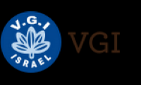 VGI