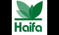 Haifa Group