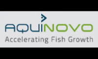 AquiNovo