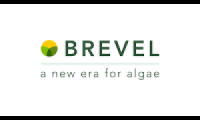 Brevel