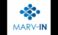 MARV-IN