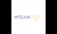 Mycelium