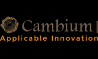 Cambium
