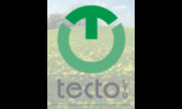 Tecto