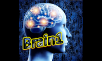Brain1