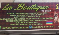 Company