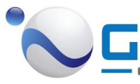 Grupo Industrial de Negocios Comerciales S. De R.L.