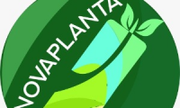 Company