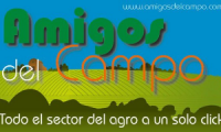 Company
