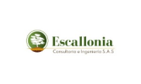 Escallonia Consultoría e Ingeniería SAS