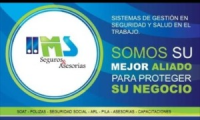 Ms Seguros y Asesorías
