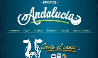 andalucia de inversiones ltda